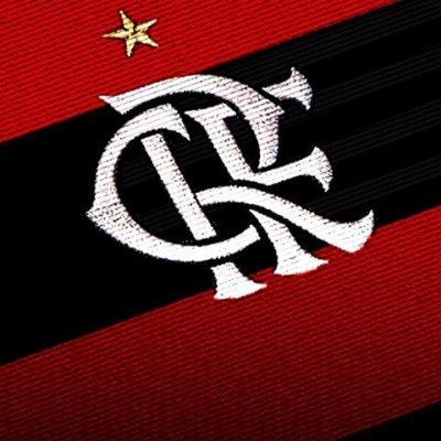 Nada do Flamengo, tudo pelo Flamengo
