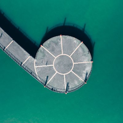 Thintarman's profile picture. 