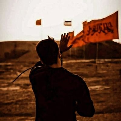 hossein840504 Profile Picture