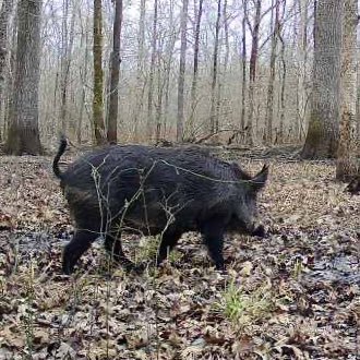 If you’re scared go to church | woo/pig