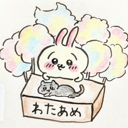 wataame615's profile picture. ちいかわのうさぎ、モモンガ、でかつよ推し。
リバティアイランドちゃんは永遠にアイドルです🐴
黒猫のきぃちゃんをよく見せます🐱