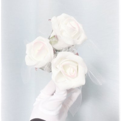 rinn (ﾟ∀ﾟ)ｳｷﾞｬｱ!!!!!/おもひで用垢さんのプロフィール画像