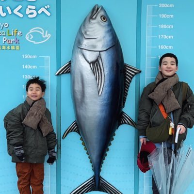 discoverforkids's profile picture. 