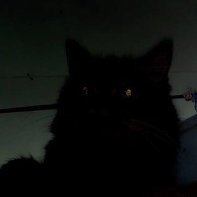 jllnncnls's profile picture. No caa, wo plan na ci legiii, pop pa pusee laka nii