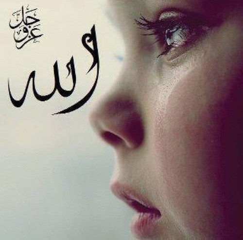 betulum69's profile picture. 