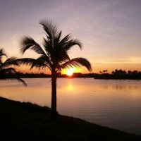 Rose Mary (@romary42) 's Twitter Profile Photo Rose Mary (@romary42) 's Twitter Profile Photo