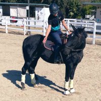 nico (@eclecticeq) 's Twitter Profile