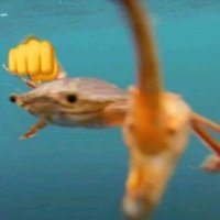 PunchCrab (@punchclock821) 's Twitter Profile