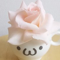 🌻🌴おむすび山脈🌴🌻 (@kagami_iro) 's Twitter Profile Photo