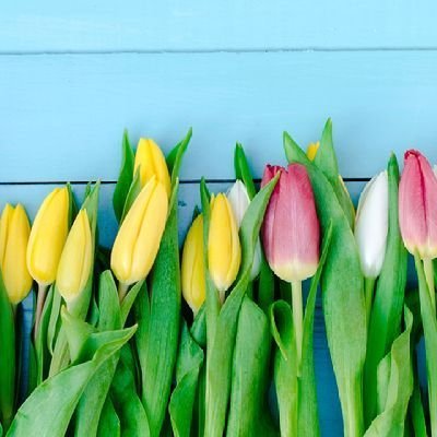 kaze196's profile picture. 