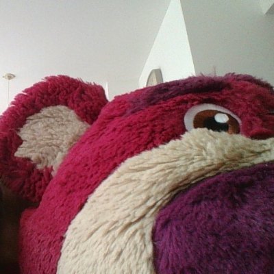 懸賞を楽しんでいます。