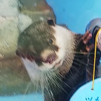 とくだ Profile