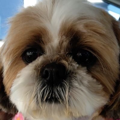 qoo369Y_T's profile picture. 仲良くしてもらえたら嬉しい😄