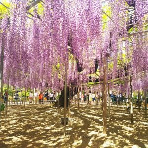 懸賞大好きです✨時間が空いたときにコツコツ応募しています！