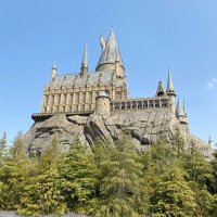 ぴんく (@ssmr20061101nk) 's Twitter Profile Photo