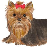 ymumkm (@ymumkm) 's Twitter Profile Photo ymumkm (@ymumkm) 's Twitter Profile Photo