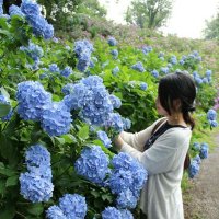 くまころ (@kumacoro22) 's Twitter Profile Photo