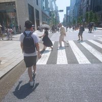 とげちゃん (@ohgwrtlwkcubmqp) 's Twitter Profile Photo