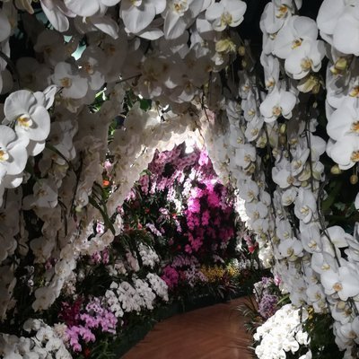 shuzero8891's profile picture. 地味に続けてます。
恥ずかしながら30代になってから
食器や盛り付けの美しさ
調味料や出汁の味わい
の違いを意識して味わうようになりました。