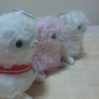 優子 (@yuuuko1201) 's Twitter Profile