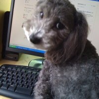 yueda (@yueda3) 's Twitter Profile Photo