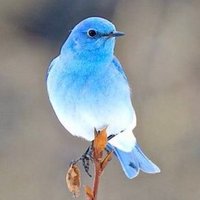 takako (@qtacop) 's Twitter Profile Photo