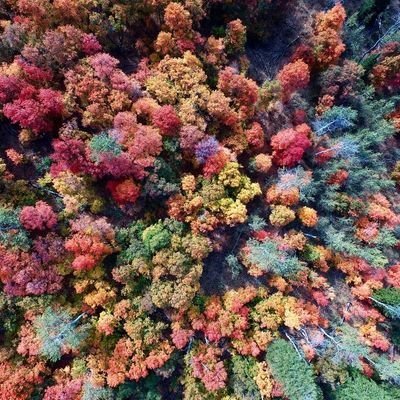 兎に角ビールが大好き❦
ウイスキーに激ハマり中🥃
まったり登山が好きです🗻
キャンプしたことないけど毎日ゆるキャン見てます⛺