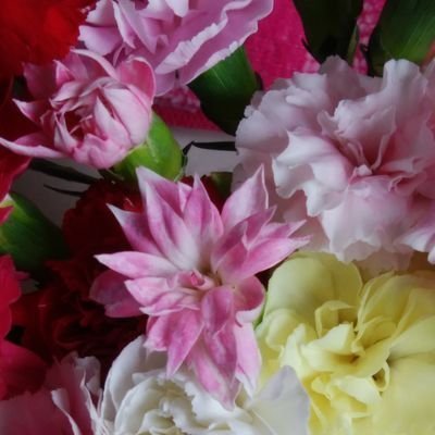 xU9B0fMQ5wCUnnn's profile picture. 