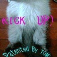 Tokyo TOM (@tokyo_tom_) 's Twitter Profile Photo Tokyo TOM (@tokyo_tom_) 's Twitter Profile Photo