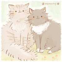 チマ (@chima_k8) 's Twitter Profile Photo