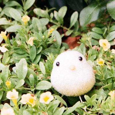 0ic_oyaqi's profile picture. 🌞サードパーティアプリ復活させろの会🌞
link/repost/like≠endorsement
たまに夢日記を記録。#夢日記／スパム避けのため返信欄閉