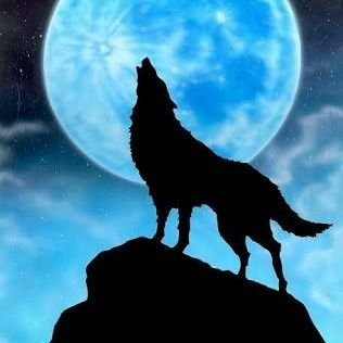 blue_moon2159's profile picture. 海を静かに眺めながら物思いにふけるのが大好き❤細かい事はどうでもよくなった。心おだやかに生きる変人です。松原健之くんを応援ちう😊
裏アカなんですけど、正直者です。
よろしくね😉