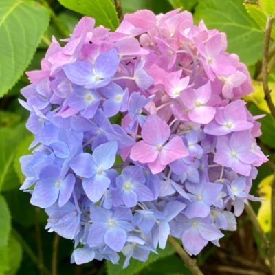 rainbowsnow (@rainbowsnow10) / Posts / X