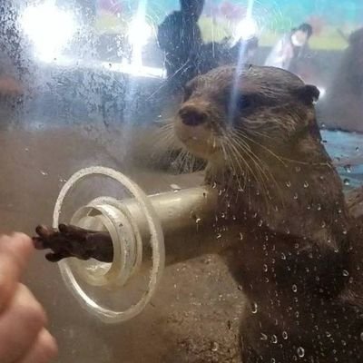美味しいものと旅行が大好きです♪Twitterの使い方よく分かってないですがよろしくデス¦美味しいもの🍖¦お取り寄せグルメ🐟¦旅行🚃𓈒𓂂𓏸¦温泉♨️¦ショッピング🛍¦お酒🍶¦料理🍝¦カフェ☕¦