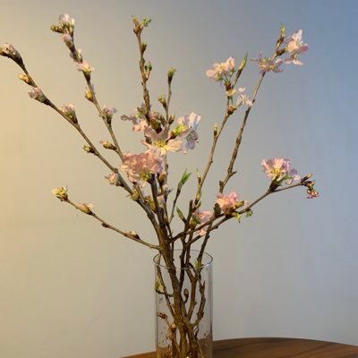 Twitterを始めたばかりです！懸賞を通じて各社取り組みを知りたく、またぜひ懸賞に当たりたく登録しました！出会い系や勧誘系の方のフォローやDMは固くお断り致します。
