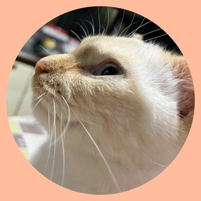 20代後半┊︎猫と同居^. .^ ੭┊︎お肉🍗 海鮮🍣 甘い物🍰┊︎アニメ👀┊︎ゲーム🎮┊︎筋トレ☻୨┊︎YouTube ‣ ﾏｲｸﾗ動画💎⛏┊︎ガジェット📱┊︎当選報告 ‣ #はなさと当選記録