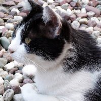 olomouc921 (@olomouc921) 's Twitter Profile Photo olomouc921 (@olomouc921) 's Twitter Profile Photo