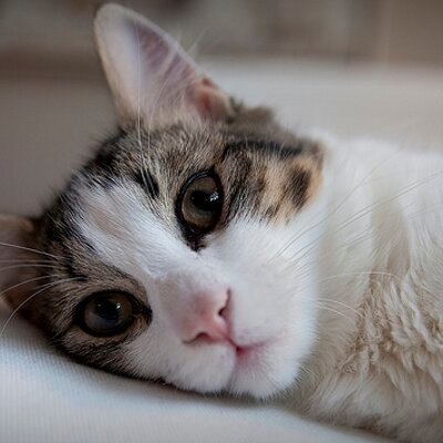 uwkrs's profile picture. 