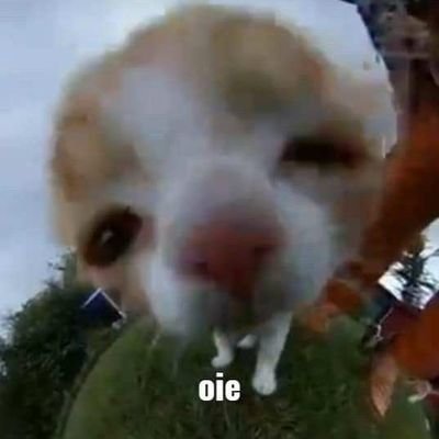 tristemie's profile picture. don't perceive any of this