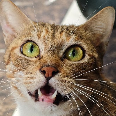 yayaya666661's profile picture. 