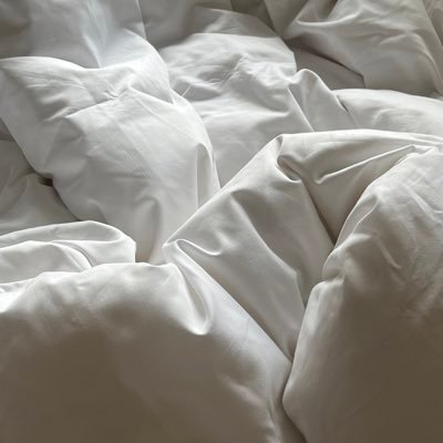 dreinsiben's profile picture. 