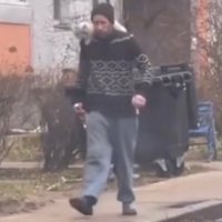 Ata (@akyolata) 's Twitter Profile