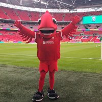 Mighty Red(@MightyRed_LFC) 's Twitter Profileg