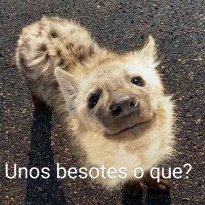 Hola soy Tobias, está es mi cuenta 🔞,no menores,publicaré mis fotos aquí y uno que otro dibujo.