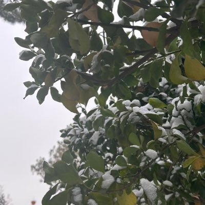 jackylzf's profile picture. Hello