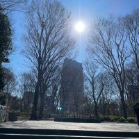 TK (@timpo19190721) 's Twitter Profile
