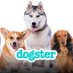 Dogster (@dogster) Twitter profile photo