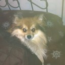 Regina Weldon - @regiweld - Twitter