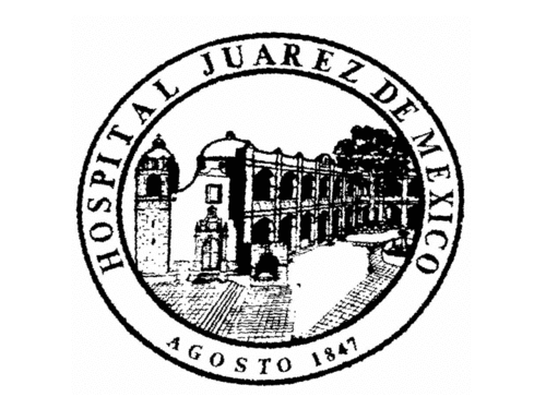 Instituto Mexicano de Enseñanza Virtual Avanzada.