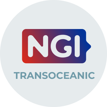 NGITransoceanic is the collaborative platform supporting EU-US experiments in topics of the Next Generation Internet, with a set of open calls for funding.